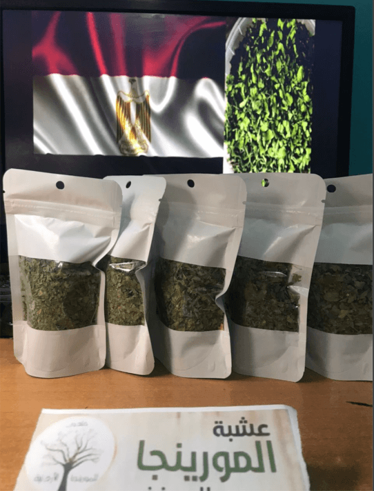 🌿 اكتشف قوة المورينجا الطبيعية 🌿 علاج طبيعي فعّال للسكري، البروستاتا، وضغط الدم المرتفع.ثمن ثلاث علب ب 3100 دج